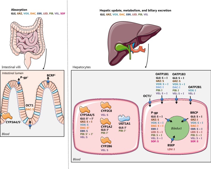 Fig. 3