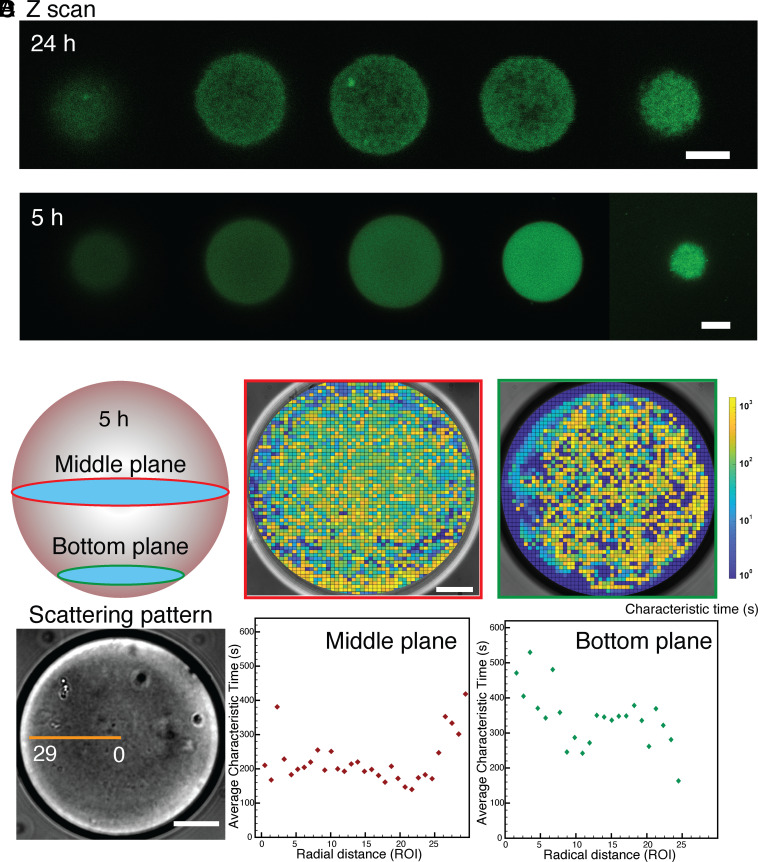 Fig. 3.