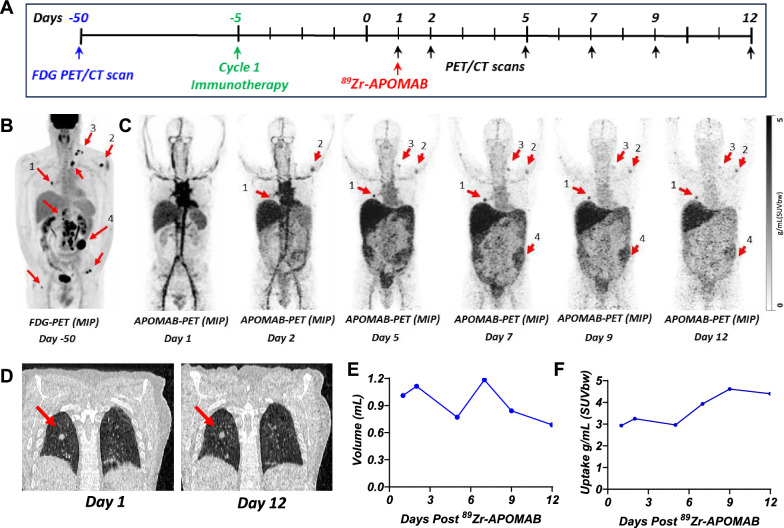 Fig. 6