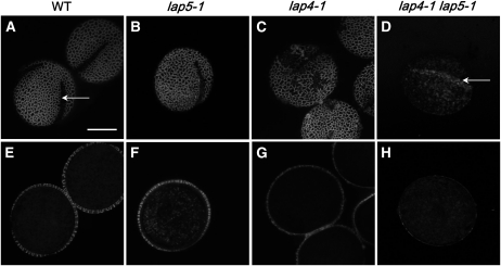 Figure 10.