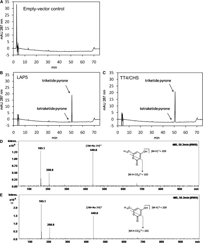 Figure 9.