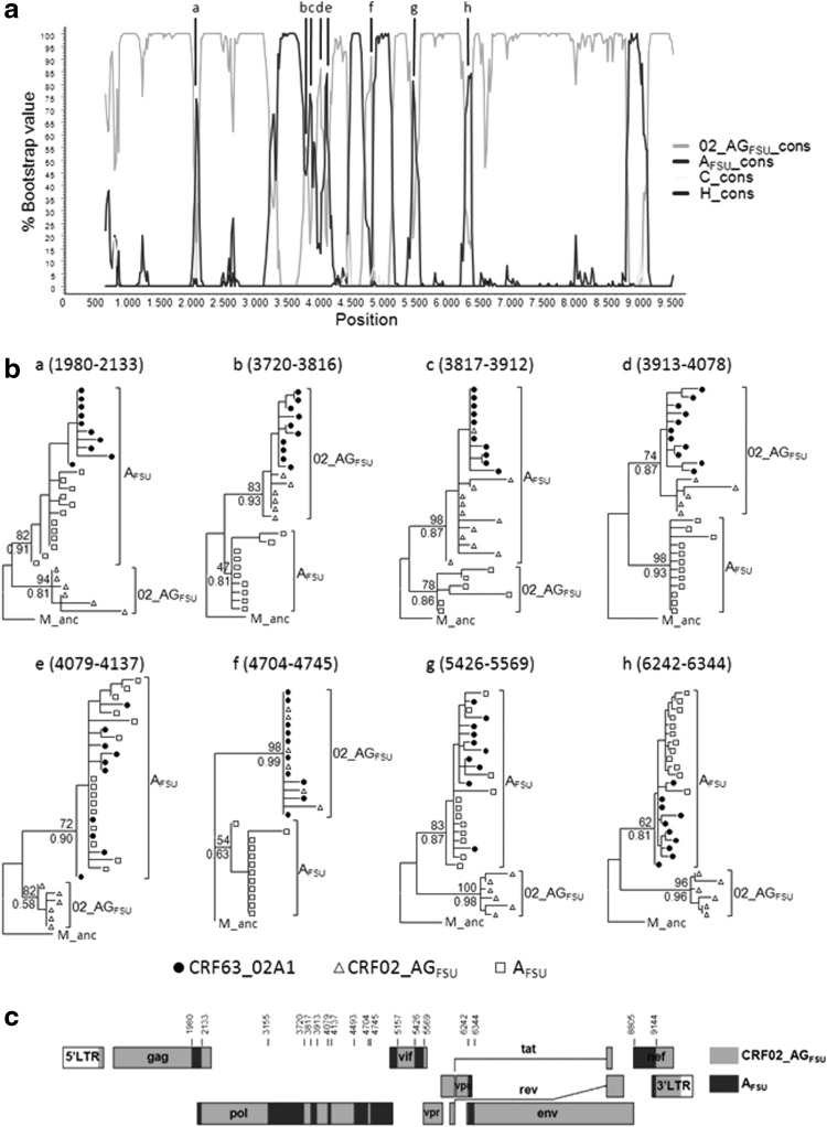 FIG. 2.