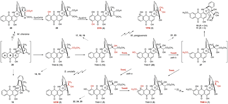 Figure 4.