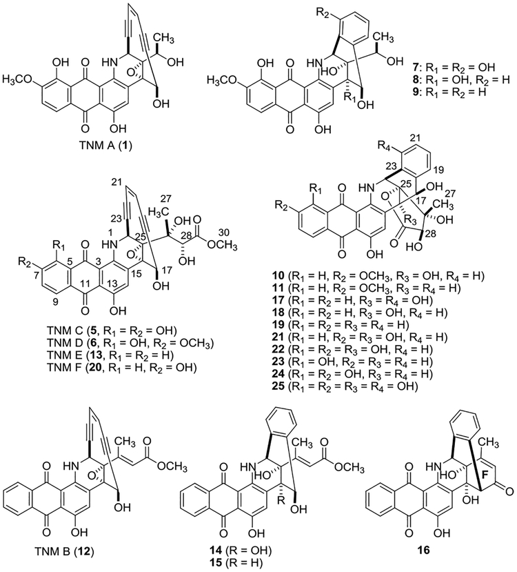 Figure 3.