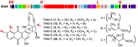 graphic file with name nihms-989928-f0001.jpg