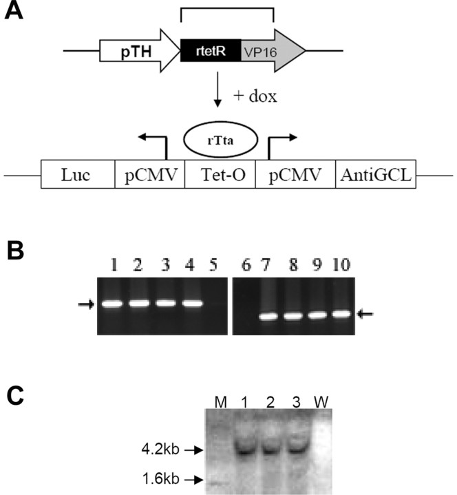 Figure 1.