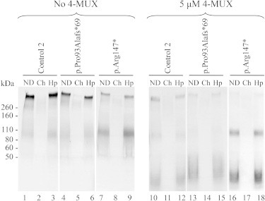 Figure 7