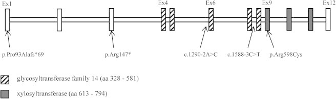 Figure 4