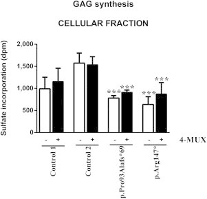 Figure 6