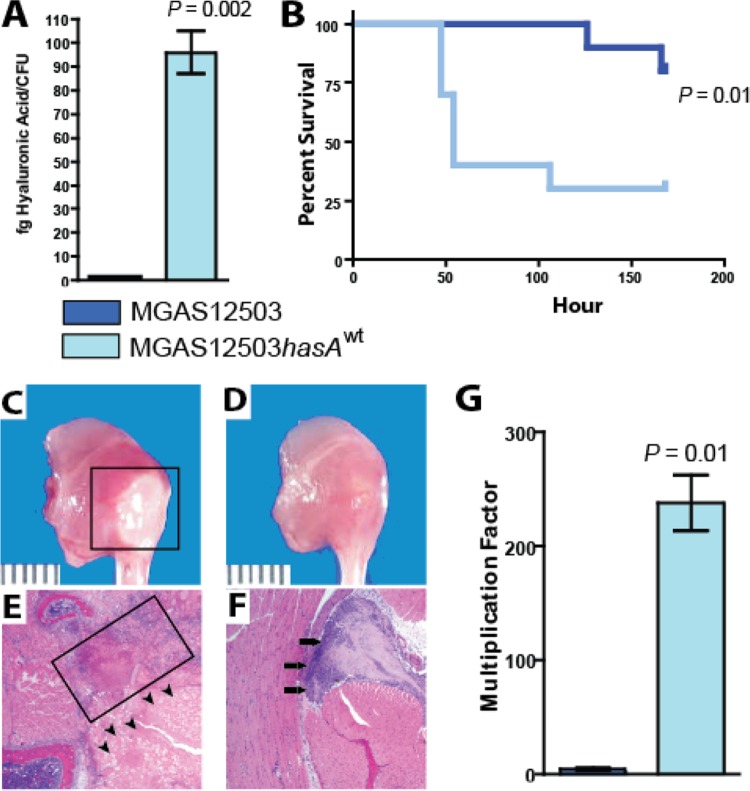 FIG 3