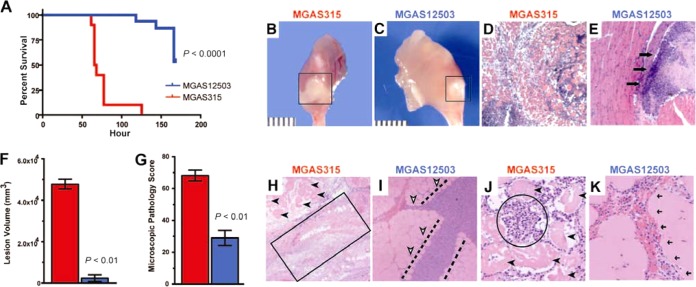 FIG 1