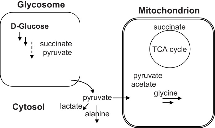 Fig. 17