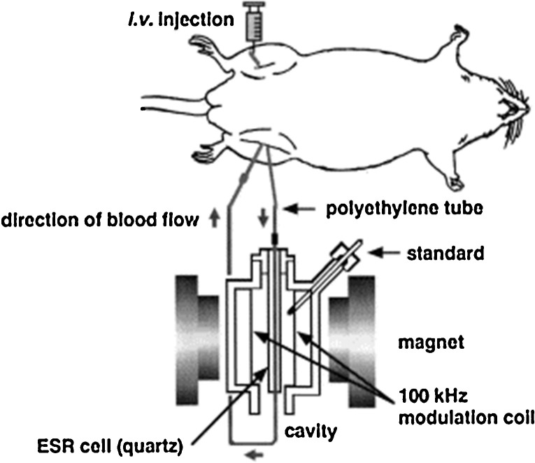 Fig. 7