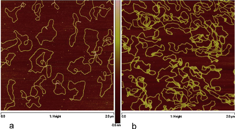 Fig. 14