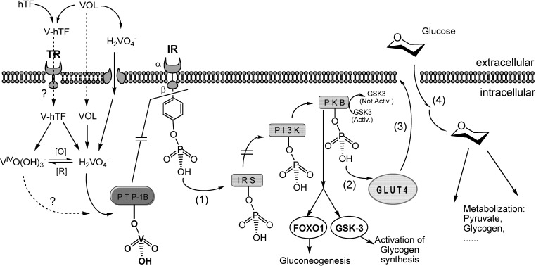 Fig. 8