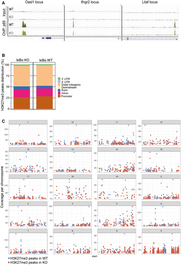 Figure EV3