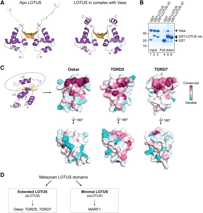 Figure 3.