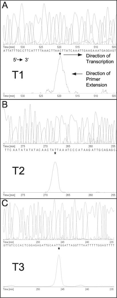 FIG. 2.