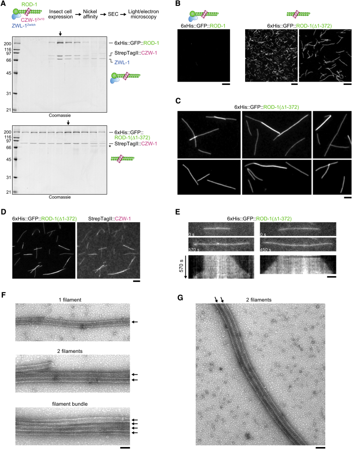 Figure 6