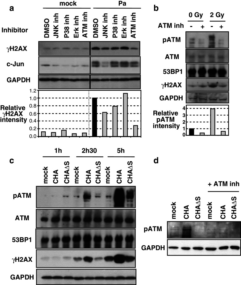 Fig. 6