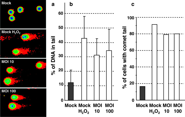 Fig. 4