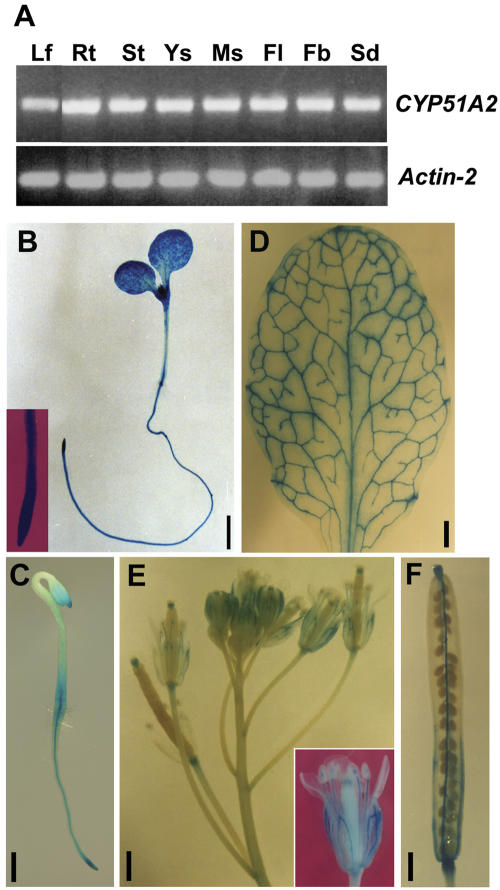 Figure 9.