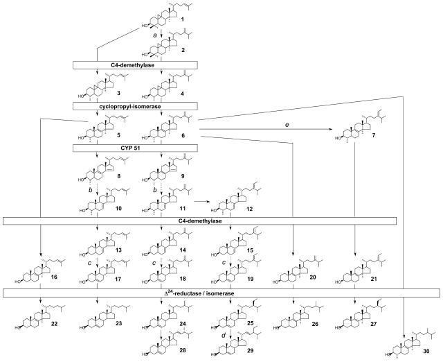 Figure 7.