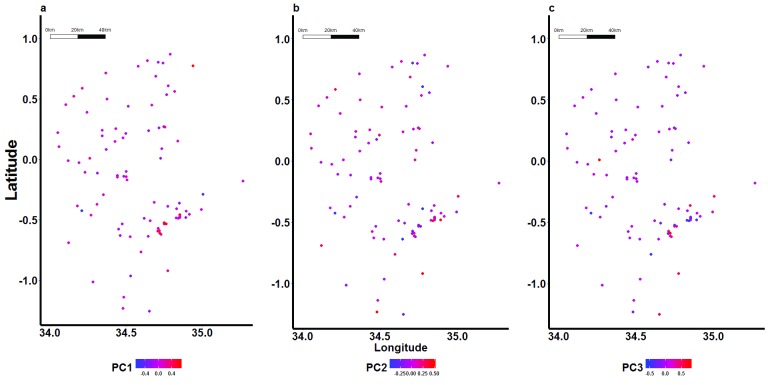 Figure 3. 