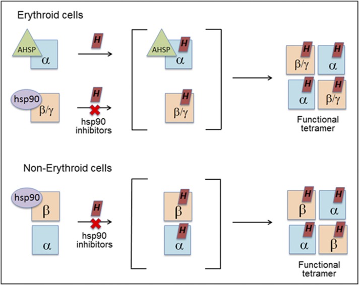 Fig. 9.