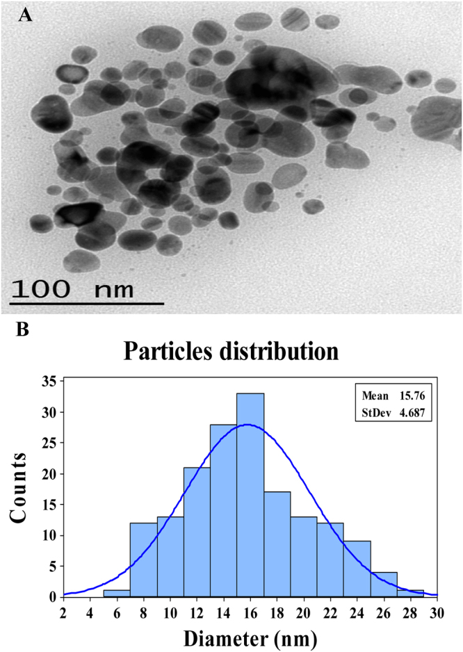 Figure 5