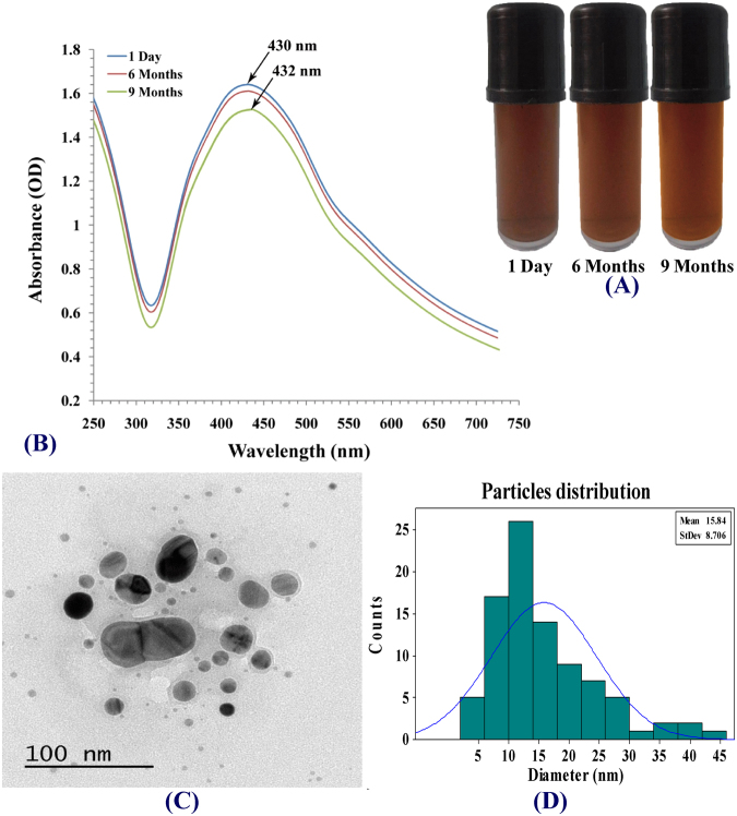 Figure 10