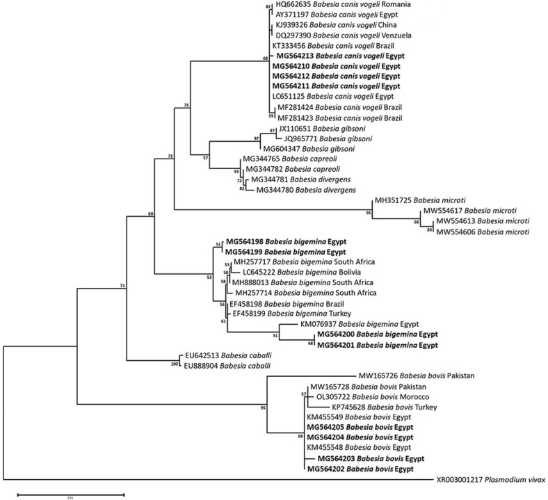 Fig 3