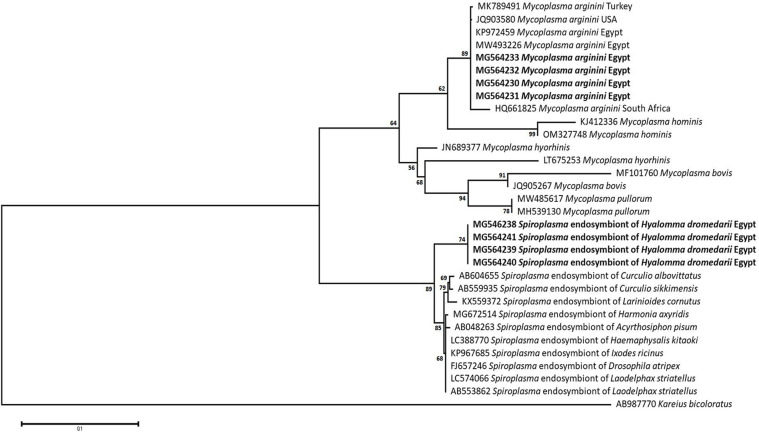 Fig 6