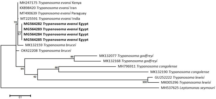 Fig 14