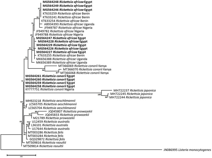 Fig 4