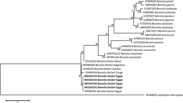 Fig 10