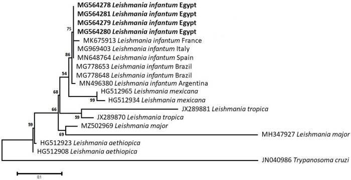 Fig 13