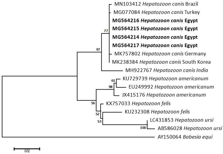 Fig 12