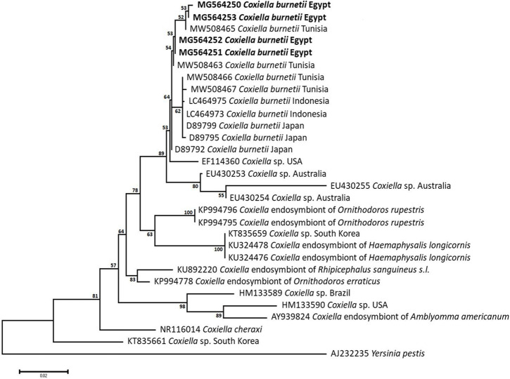 Fig 11