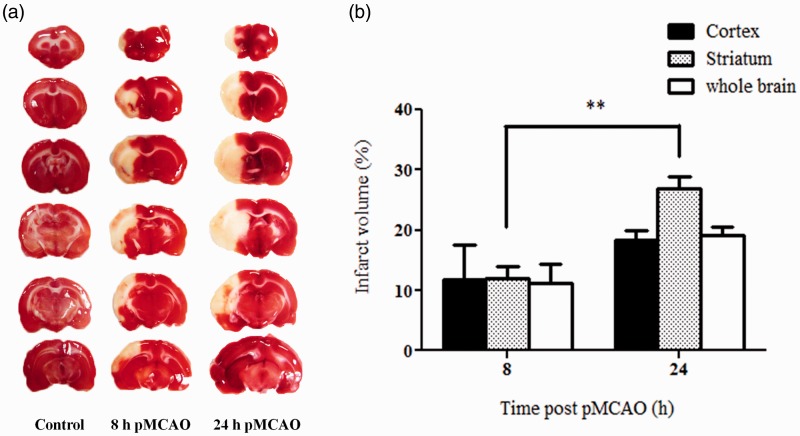 Figure 7.