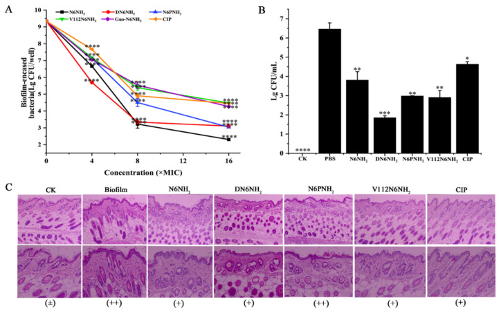 Figure 6