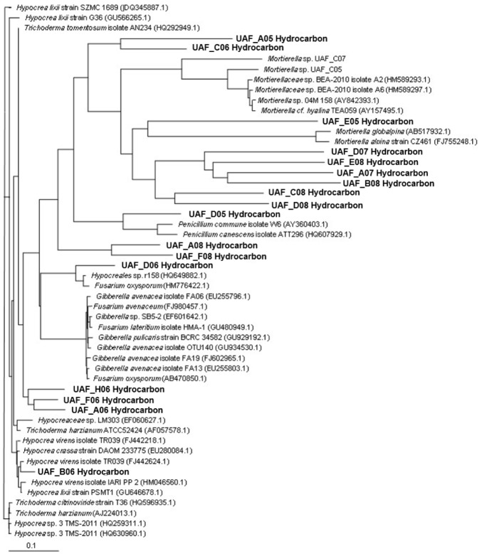 Figure 5