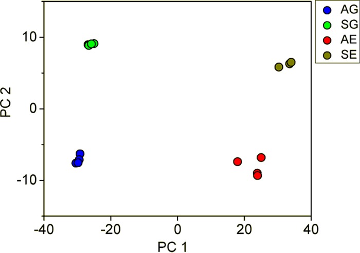 FIG 5