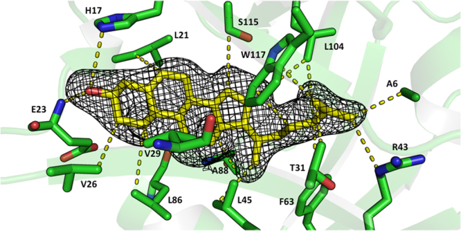 Figure 3