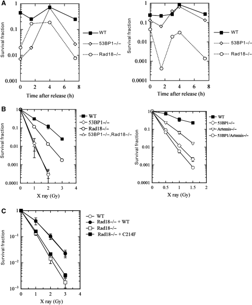 Figure 7.