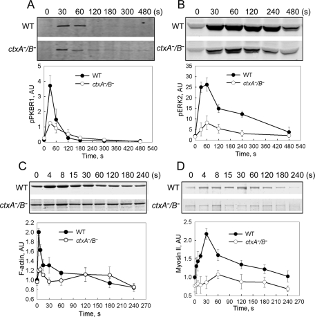 FIGURE 7: