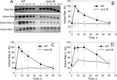 FIGURE 6: