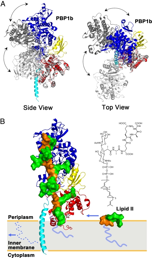 Fig. 4.