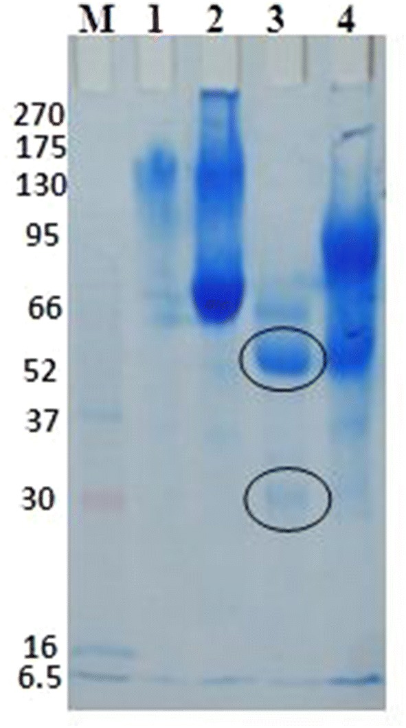 Fig. 6