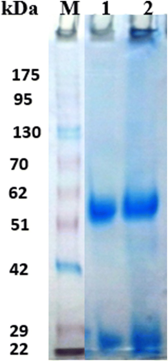 Fig. 7